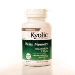 brain memory