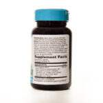 echinacea golden seal 2